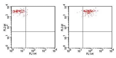 Flow Cytometry: Mouse IgG2b Isotype Control (MPC-11) [FITC] [NBP2-27229]