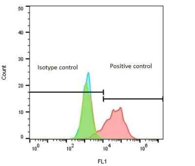 Mouse IgG2b Kappa Isotype Control (M2BK) (NBP1-96980) By Novus, Part Of ...