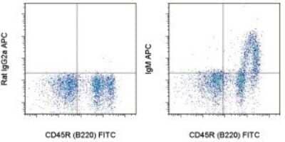 Flow Cytometry: IgM Antibody (II/41) - BSA Free [NBP1-43303]