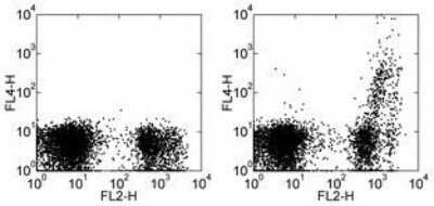 Flow Cytometry: IgM Antibody (II/41) - BSA Free [NBP1-43303]