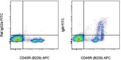 Flow Cytometry: IgM Antibody (II/41) - BSA Free [NBP1-43303]