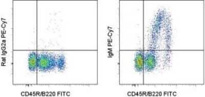 Flow Cytometry: IgM Antibody (II/41) - BSA Free [NBP1-43303]