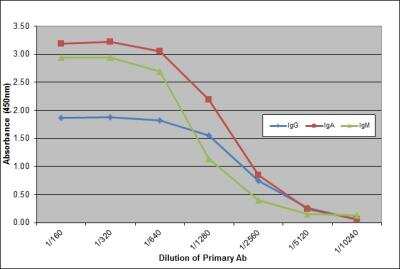 ELISA: Mouse anti-Canine IgA/IgG/IgM (H+L) Secondary Antibody (K99 2E3) [NBP3-11626]