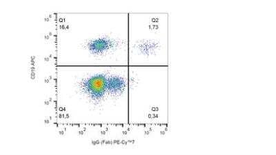 Flow Cytometry: Mouse anti-Human IgG F(ab) Secondary Antibody (4A11) [NB500-467]
