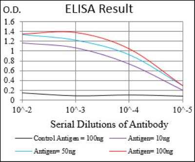 ELISA: MuRF1/TRIM63 Antibody (6H6D4) - BSA Free [NBP2-52515]