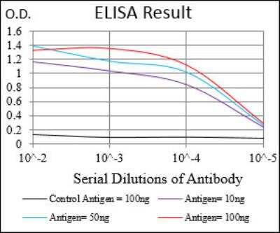 ELISA: MuRF1/TRIM63 Antibody (7B8E1) - BSA Free [NBP2-52516]