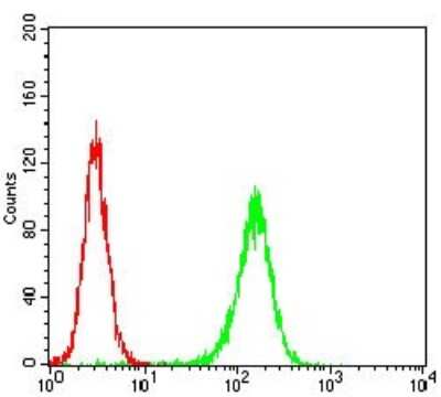 Flow Cytometry: MuRF1/TRIM63 Antibody (7B8E1) - BSA Free [NBP2-52516]