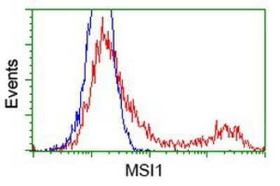 Flow Cytometry: Musashi-1 Antibody (OTI1G8) [NBP2-03434]