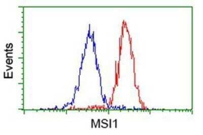 Flow Cytometry: Musashi-1 Antibody (OTI1G8) - Azide and BSA Free [NBP2-72828]