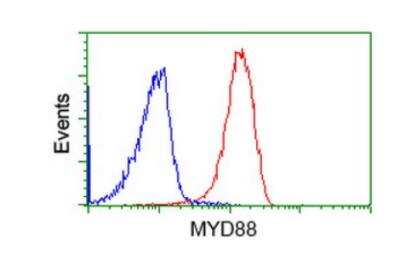 Flow Cytometry: MyD88 Antibody (OTI2B2) [NBP2-03369]
