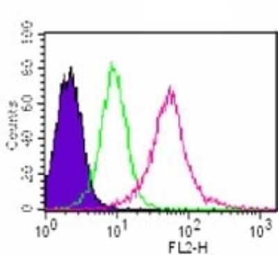 Flow Cytometry: MyD88 Antibody (4D6) - Azide and BSA Free [NBP2-80862]