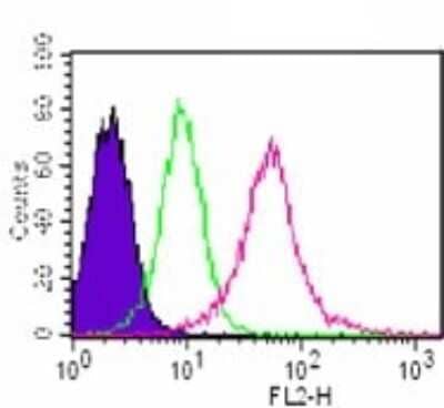 Flow Cytometry: MyD88 Antibody (4D6) - BSA Free [NBP2-27369]
