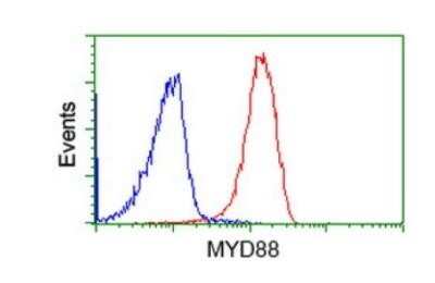 Flow Cytometry: MyD88 Antibody (OTI2B2) - Azide and BSA Free [NBP2-72842]