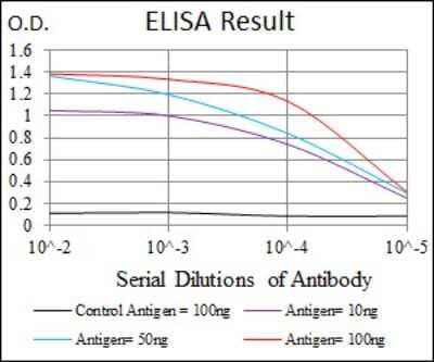 ELISA: MBP Antibody (2H9) - BSA Free [NBP2-22121]