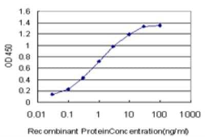 ELISA: Myelin PLP Antibody (4H8) [H00005354-M05]