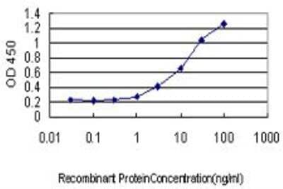 ELISA: Myelin Protein Zero Antibody (3B12) [H00004359-M05]