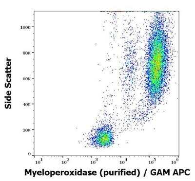 Flow (Intracellular): Myeloperoxidase/MPO Antibody (MPO421-8B2) - BSA Free [NBP2-41406]