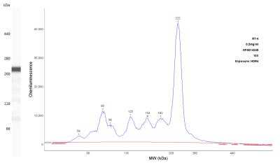 Simple Western: Myoferlin Antibody [NBP1-84694]