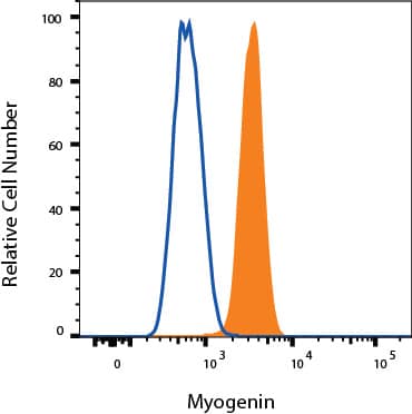 Detection of Myogenin antibody in C2C12 Mouse Cell Line antibody by Flow Cytometry.