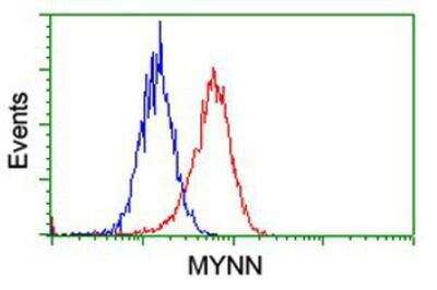 Flow Cytometry: Myoneurin Antibody (OTI1F10) [NBP2-03899]
