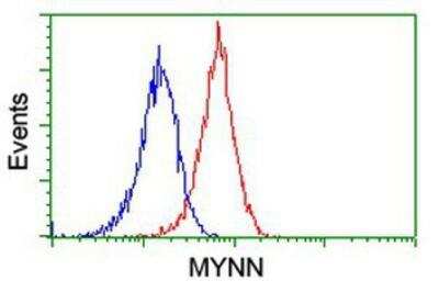 Flow Cytometry: Myoneurin Antibody (OTI1F10) [NBP2-03899]