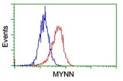 Flow Cytometry: Myoneurin Antibody (OTI3B9) [NBP2-46070]