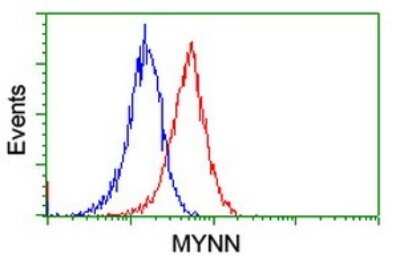 Flow Cytometry: Myoneurin Antibody (OTI3B9) [NBP2-46070]