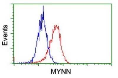 Flow Cytometry: Myoneurin Antibody (OTI3B9) - Azide and BSA Free [NBP2-72864]
