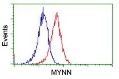 Flow Cytometry: Myoneurin Antibody (OTI3B9) - Azide and BSA Free [NBP2-72864]