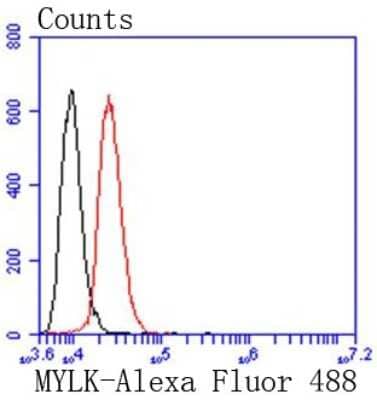 Flow Cytometry: Myosin light chain kinase Antibody (SU40-06) [NBP2-67486]