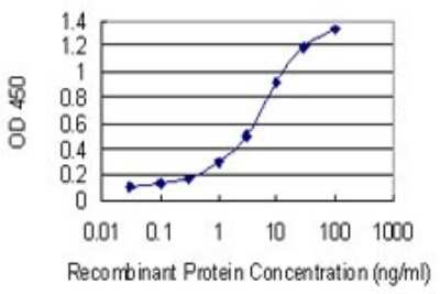 ELISA: Myozenin 2 Antibody (1D4) [H00051778-M02]
