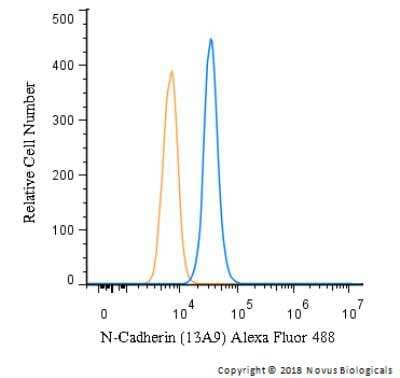Flow Cytometry: N-Cadherin Antibody (13A9) [NBP1-48309]