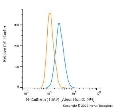 Flow Cytometry: N-Cadherin Antibody (13A9) [NBP1-48309]