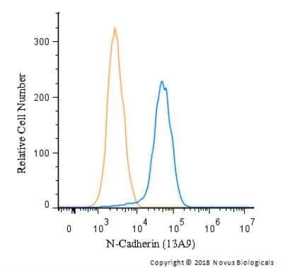 Flow (Intracellular): N-Cadherin Antibody (13A9) [NBP1-48309]