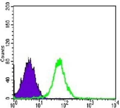 Flow Cytometry: N-Cadherin Antibody (5D5) - BSA Free [NBP1-51612]