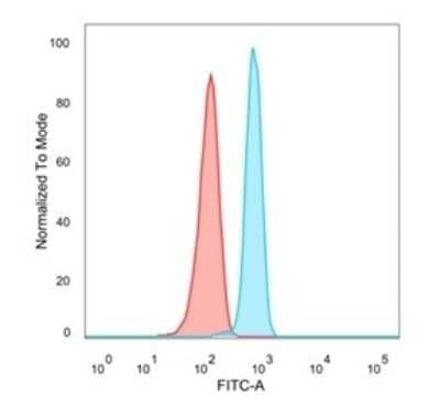 Flow Cytometry: N myc interactor Antibody (PCRP-NMI-1C1) [NBP3-07490]