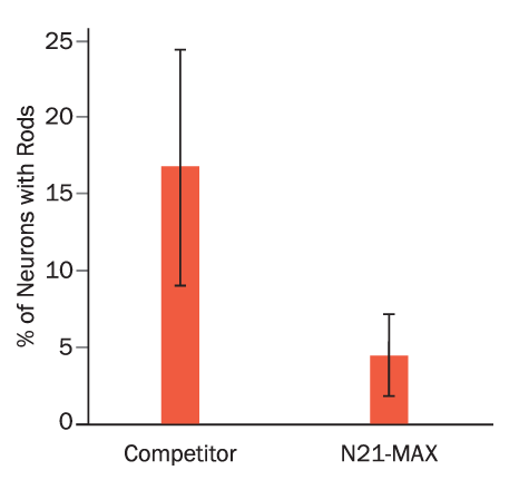 N21-MAX Reduces Spontaneous Stress Rod Formation.