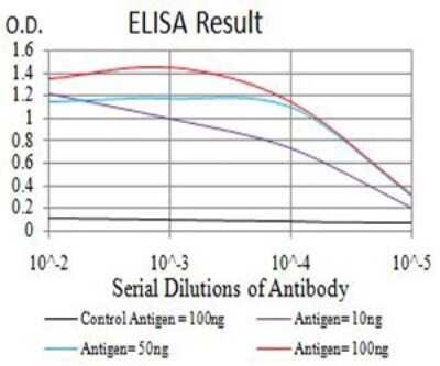 ELISA: NAA10 Antibody (3G3B9) - BSA Free [NBP2-61891]