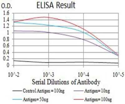 ELISA: NAA10 Antibody (3G3E9) - BSA Free [NBP2-61890]