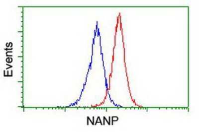 Flow Cytometry: NANP Antibody (OTI4D11) [NBP2-01935]