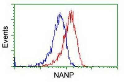 Flow Cytometry: NANP Antibody (OTI4D11) - Azide and BSA Free [NBP2-72870]