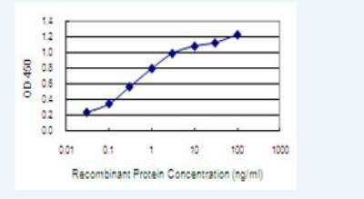 ELISA: NARG1 Antibody (4A11) [H00080155-M01-100ug]