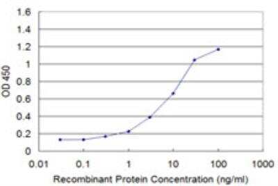 ELISA: NCOA4 Antibody (1F11) [H00008031-M05]
