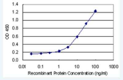 ELISA: NDNL2 Antibody (4F7) [H00056160-M02-100ug]