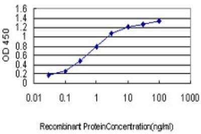 ELISA: NDRG2 Antibody (6A5) [H00057447-M03]