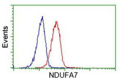 Flow Cytometry: NDUFA7 Antibody (OTI2G4) [NBP2-00564]