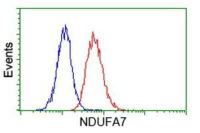 Flow Cytometry: NDUFA7 Antibody (OTI2G4) [NBP2-00564]
