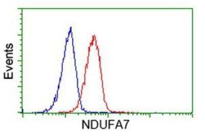 Flow Cytometry: NDUFA7 Antibody (OTI2G4) - Azide and BSA Free [NBP2-72909]