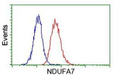 Flow Cytometry: NDUFA7 Antibody (OTI2G4) - Azide and BSA Free [NBP2-72909]