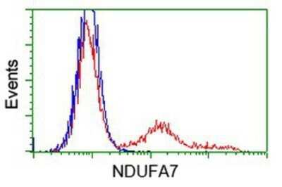 Flow Cytometry: NDUFA7 Antibody (OTI2G4) - Azide and BSA Free [NBP2-72909]